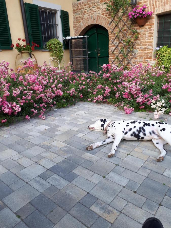 Casa Relax Immersa Nel Verde Della Natura Casalborgone Eksteriør billede