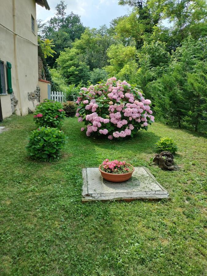 Casa Relax Immersa Nel Verde Della Natura Casalborgone Eksteriør billede