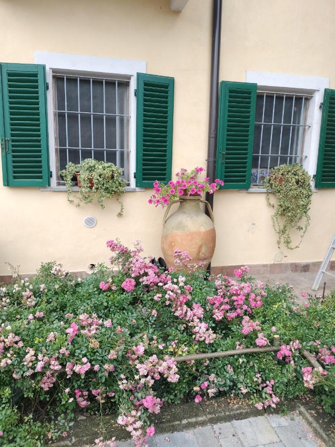 Casa Relax Immersa Nel Verde Della Natura Casalborgone Eksteriør billede